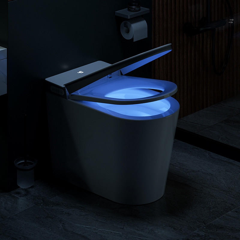 Ceramic Floor One Piece Intelligent Smart Toilet Bowl Electric Automatic Flush WC Bidet