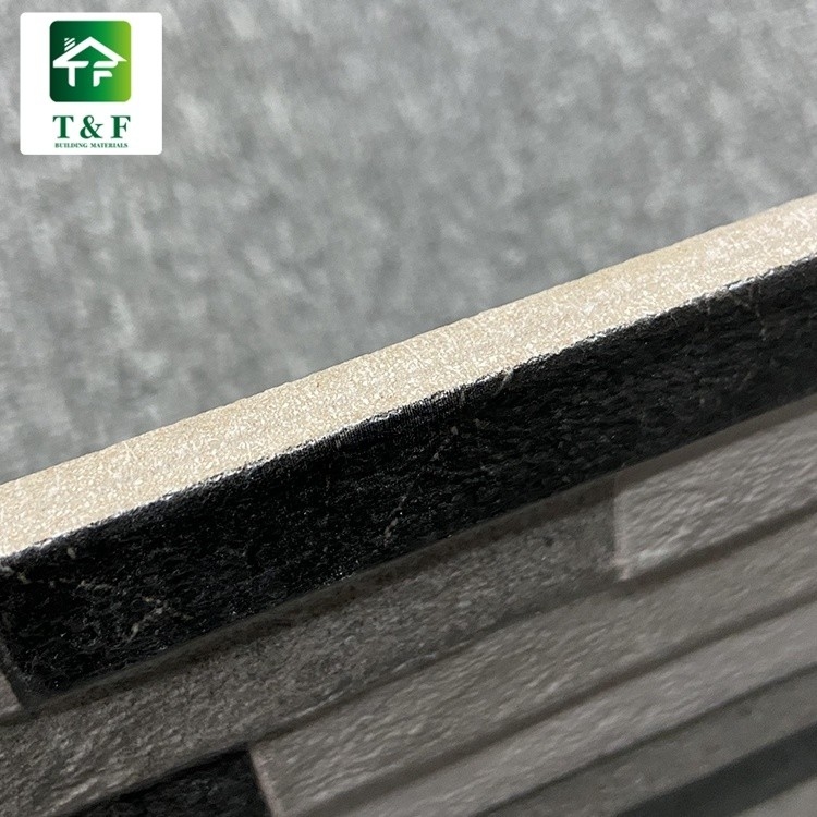 Exterior Glazed Ceramic Tiles 20 X 40 Black Mix White Color